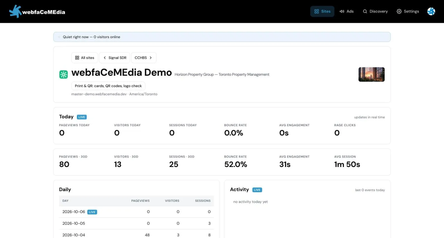 The Insights dashboard for a website, with the Today row of live numbers, the last-30-days row below it, and the Daily table and Activity feed underneath