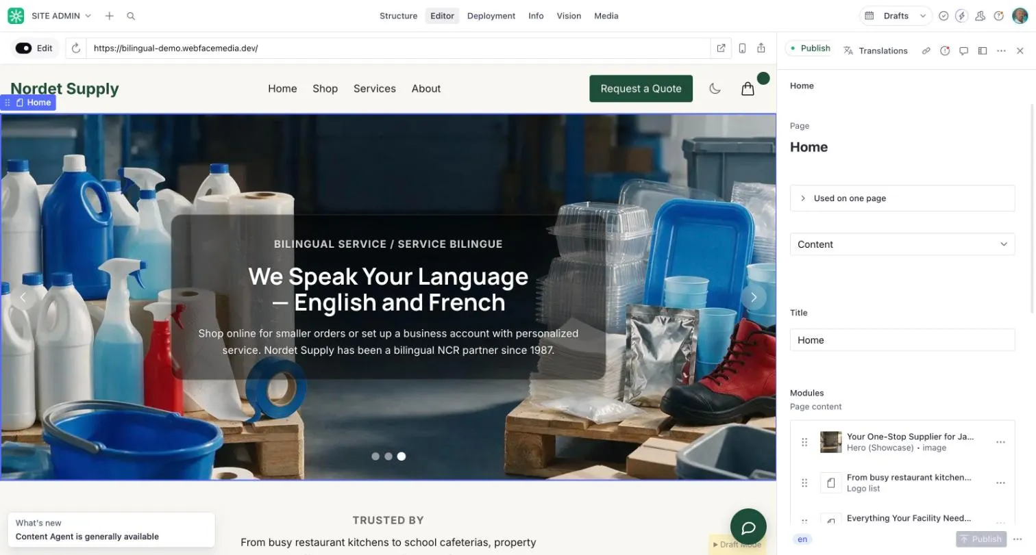 The visual editor showing the live homepage on the left and the editing panel for that page on the right